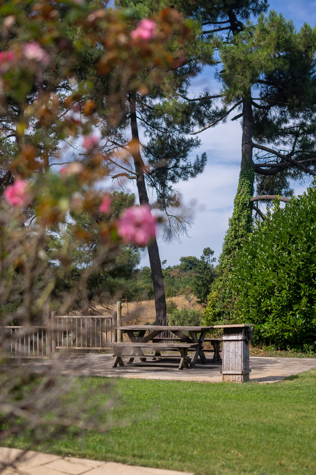 Table pique-nique dans le parc